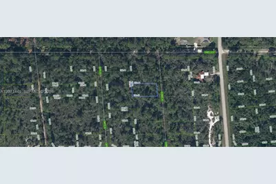 722 Ronnie Lane, Lake Placid, FL 33852 - Photo 1