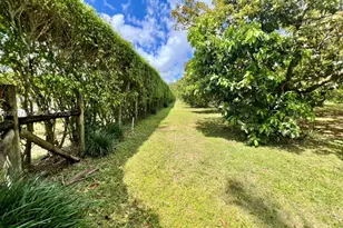 19345 SW 240th St, Homestead, FL 33031 - Photo 71