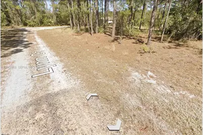 613 Lynn Court, Lake Placid, FL 33852 - Photo 3