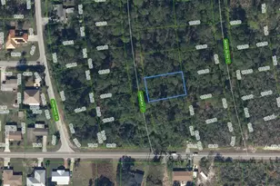 209 Harmony Ct, Lake Placid, FL 33852 - Photo 1