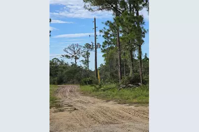 345 Rolling Hills Dr, Lake Placid, FL 33852 - Photo 27