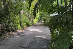 3024 Day Ave, Miami, FL 33133 - Photo 71