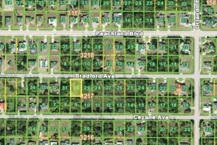 22443 Bradford Ave, Port Charlotte, FL 33952 - Photo 1