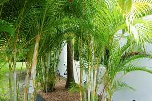 12015 NE 10th Ave, Biscayne Park, FL 33161 - Photo 3