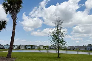 12119 Shortleaf Pine Trail, Fort Myers, FL 33966 - Photo 41