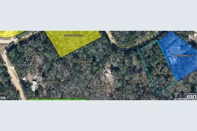 5011 Licorice Ct, Middleburg, FL 32068 - Photo 1