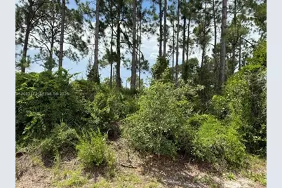 3607 Peugeot St, Sebring, FL 33872 - Photo 3