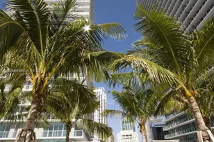 79 SW 12th St, Miami, FL 33130 - Photo 15