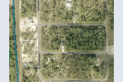 315 Ludlow Avenue, Lehigh Acres, FL 33972 - Photo 3