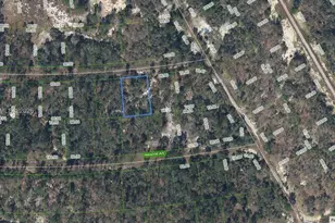 367 Whispering Ave, Lake Placid, FL 33852 - Photo 1