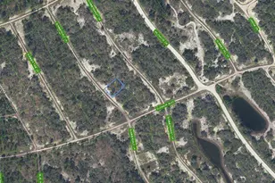 337 Summerdale Ln, Lake Placid, FL 33852 - Photo 1
