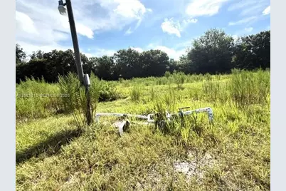 3003 Hicks Rd, Lorida, FL 33857 - Photo 5