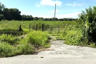 3003 Hicks Rd, Lorida, FL 33857 - Photo 1