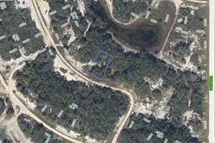213 Dargen Dr, Lake Placid, FL 33852 - Photo 1