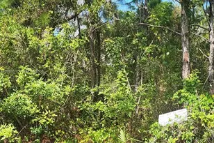 29256 Maris Dr, Punta Gorda, FL 33982 - Photo 1