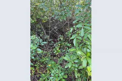 0000 Unassigned, Indiantown, FL 34956 - Photo 5