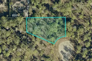 1905 Ney Ct, Lehigh Acres, FL 33972 - Photo 1