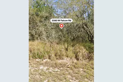 2080 W Falcon Rd, Avon Park, FL 33825 - Photo 1