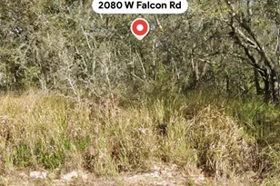 2080 W Falcon Rd, Avon Park, FL 33825 - Photo 1