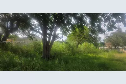 272 SW 143 Ct, Homestead, FL 33032 - Photo 9