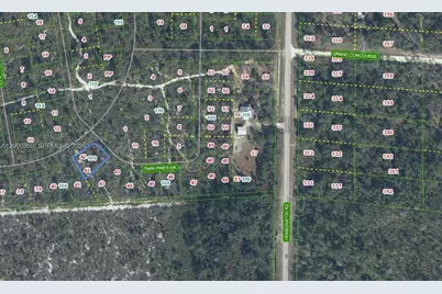 1201 Twin Pines, Sebring, FL 33875 - Photo 1