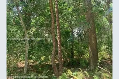 2326 W Barben Road, Avon Park, FL 33825 - Photo 25