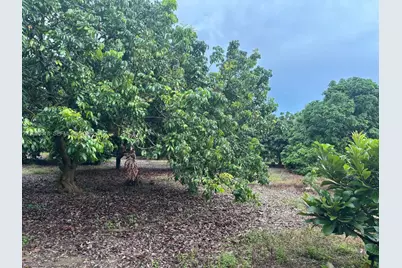24350 SW 182 Ave, Homestead, FL 33031 - Photo 31