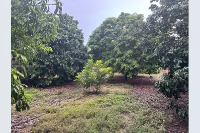 24350 SW 182 Ave, Homestead, FL 33031 - Photo 21