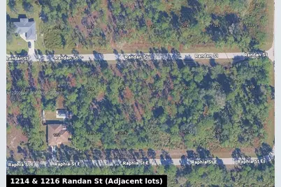 5121 29th St SW, Lehigh Acres, FL 33973 - Photo 3
