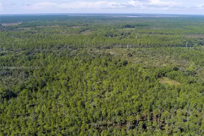 N/A N/A, Mims, FL 32754 - Photo 11