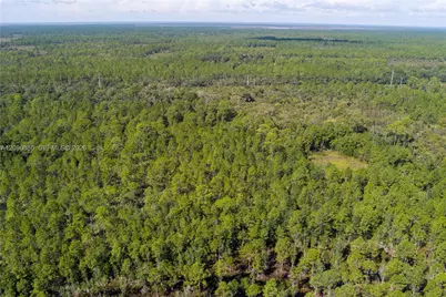 N/A N/A, Mims, FL 32754 - Photo 25