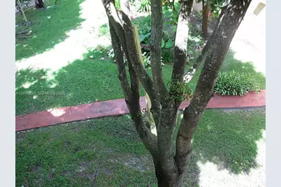 14221 N Kendall Dr #310C, Miami, FL 33186 - Photo 19
