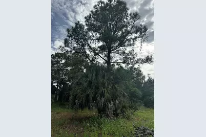 123 Pine Lake Ave, Clewiston, FL 33440 - Photo 15