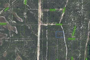 6033 Royal Palm St, Sebring, FL 33870 - Photo 1