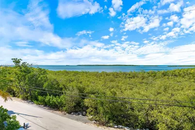 195 Ojibway Ave, Tavernier, FL 33070 - Photo 93