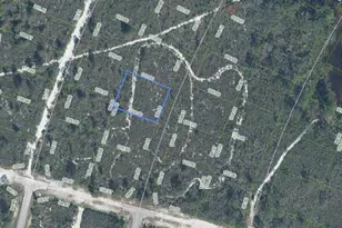 6658 Cotorro Dr, Sebring, FL 33872 - Photo 1