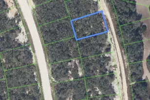 210 Sunway Dr, Lake Placid, FL 33852 - Photo 1