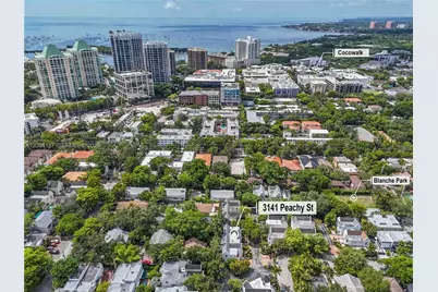 3141 Peachy St #12, Miami, FL 33133 - Photo 29