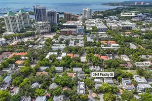 3141 Peachy St, Miami, FL 33133 - Photo 29