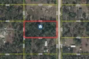 Xxx 142 Terrace, Williston, FL 32696 - Photo 1