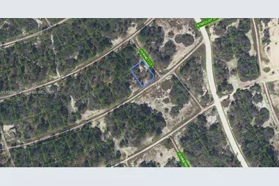 408 Hornet Court, Lake Placid, FL 33852 - Photo 1