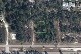 109 Falcon Ct NW, Lake Placid, FL 33852 - Photo 1
