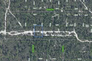 1238 Hyacinth Ave, Sebring, FL 33875 - Photo 1