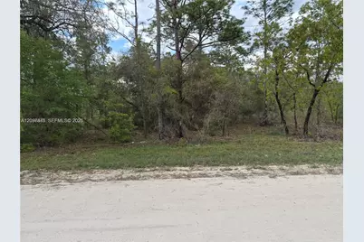 00 NE Ne 4th St, Williston, FL 32696 - Photo 5