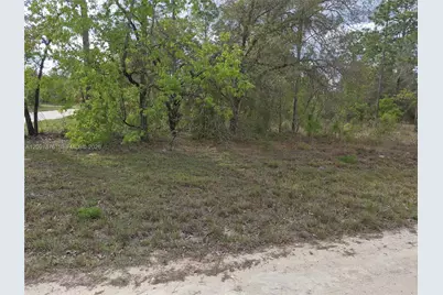 00 NE Ne 4th St, Williston, FL 32696 - Photo 3