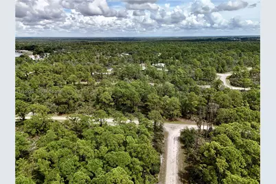 1137 Redbird St, Lake Placid, FL 33852 - Photo 35
