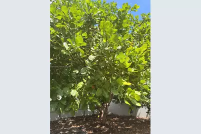 2319 Taft St, Hollywood, FL 33020 - Photo 21