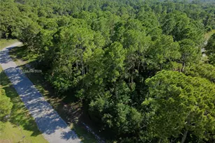 106 Rosemont Pl, Labelle, FL 33935 - Photo 1