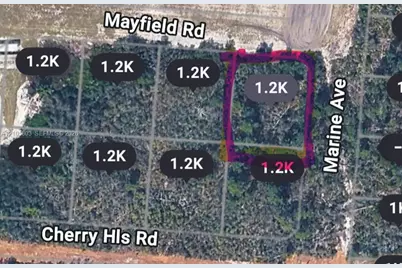25153 Marine Ave., Sebring, FL 33875 - Photo 1