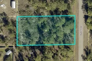 1305 Palmetto Ave, Lehigh Acres, FL 3972 - Photo 1